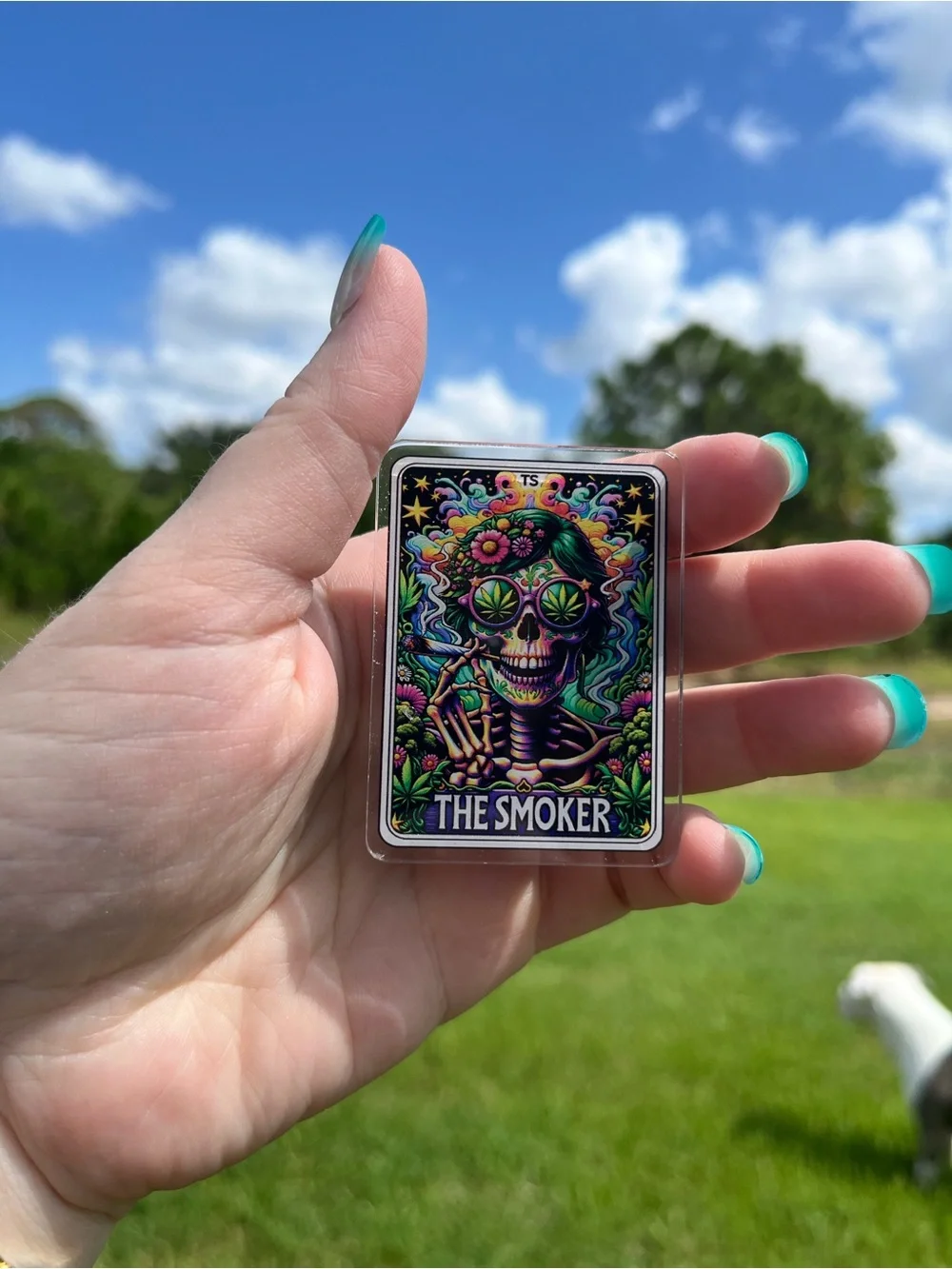 The Smoker Colorful Skull Phone Grip - Teal Accents